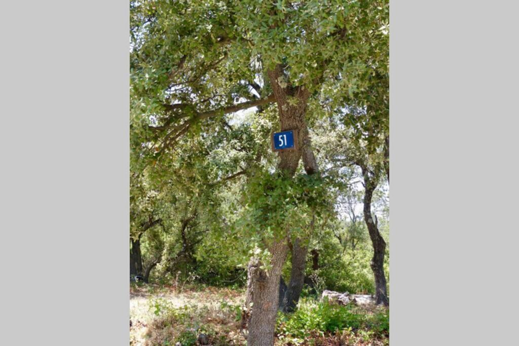 Villeneuve-lès-Avignon Studio Tudo Bem מראה חיצוני תמונה